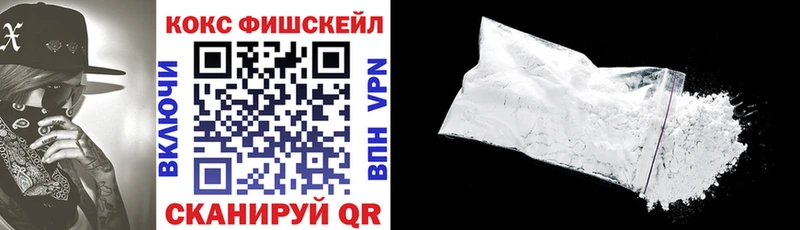 Cocaine FishScale  Купить  Курчатов 