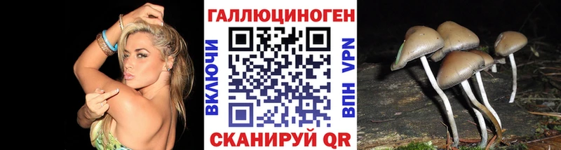 Купить где  Курчатов  Псилоцибиновые грибы мухоморы 